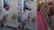 "These Yahoo Boys Too Dey Oppress Us": Nigerian Lady Turns off Neighbour's Generator in Hilarious Video