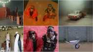 Fans say they prefer Ikorodu Bois Ginger version to Wizkid, Burna Boy's video