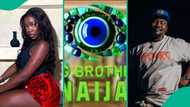 BBNaija 2025: Hilarious reactions of housemates go viral as ninjas drop live worms on their bodies