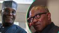 Tension brews in ADC as Atiku signals interest in presidential ticket