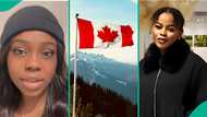 Canada employment: 3 Nigerians who searched for work abroad share job-hunting experience