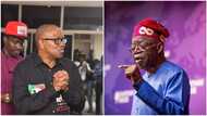 BREAKING: Peter Obi defeats Tinubu in another LGA in Lagos