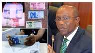 CBN mops up N2.09 trillion in 4 months as cash scarcity persists