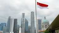 Singapore conducts two more executions: activists