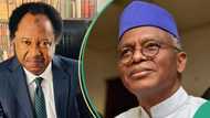 Not El-Rufai: Shehu Sani discloses Kaduna governor who was part of June 12 struggle