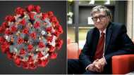 Bill Gates finally reveals when he thinks the COVID-19 pandemic will end as cases increase globally