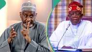 1-year-in-office: Northern elder blasts Tinubu, says “Renewed hope now hopelessness”