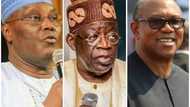 2023 presidency: Tinubu floors Obi, Atiku in Gov Oyebanji's polling unit