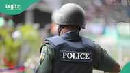 Tension as herders kill farmers, burn crop harvests in Gombe, police react