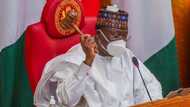 Good news as Senate moves to reduce the price of cement in Nigeria