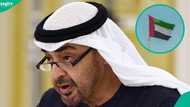 UAE announces 5 conditions workers must meet to get work permit