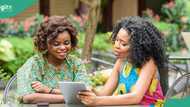 NGO launches project to empower women in peacebuilding, environmental protection