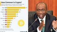 Nigeria tops global list of cryptocurrency-using countries, says World Economic Forum