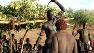 Interesting facts about Sharo, the Fulani festival where boys endure flogging as a rite of passage