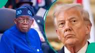 "This is the time": Man urges Nigerians amid Trump's threat to Tinubu, mentions 1 important thing