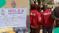NDLEA arrests 93-year-old great grandpa, medical doctor over illicit drugs