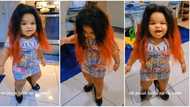 "Boss lady": Baby girl spotted wearing long wig and high heels, video causes frenzy