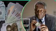 Naira trades farther from JP Morgan’s expectation as market gap widens by N354/dollar