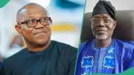 Ondo post-election: “How Peter Obi, NLC contributed to my defeat,” LP candidate speaks