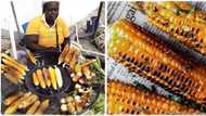 "This is very serious": Roadside corn seller breaks cobs into smaller parts to make it cheaper, photo emerges