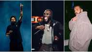 "This guy's pride get pride": Fans react as Burna Boy refuses to leave stage for J Cole & Drake, video trends