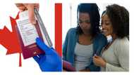 Canada moves to fill one million job vacancies, Nigerians in hot demand