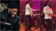 Video of Burna Boy performing at a reception ahead of 2020 Grammy Awards