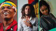 Bob Marley's team appreciates Wizkid, Bloody Civilian, others after bagging award at 67th Grammys