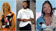 “SA babes fighting over Nigerian man”: BBTitans Blue Aiva walks away as Khosi marks territory with Yemi