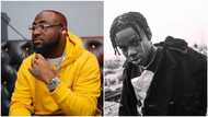 Singer Davido hails Mavin signee Rema, says he is ahead of his generation