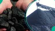 The invisible commodity: Why charcoal is not on Nigeria’s economic map, CEO explains