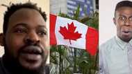 Canada is a very boring place, we don't pluck money on trees here, Nigerian says in video