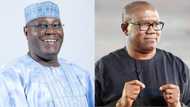 2023 elections: Jubilation as Reno Onokiri dumps Atiku, PDP, joins Peter Obi in Labour Party