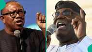 Obi asks Atiku to cede ADC ticket: "Why should we have a northerner again?"
