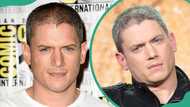 Wentworth Miller's relationship history explored, from rumours to reality