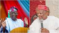 Tinubu's choice of Shettima: What I'll do if I perceive I can't win presidency in 2023, Kwankwaso shares powerful details