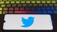 Massive purge as Twitter suspends several Nigerian influencers’ accounts