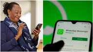 "Switch phones freely": WhatsApp finally releases new feature highly requested by users for years
