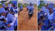 "See as them happy": Reactions as over 10 ladies mount bikes in viral video, ride in convoy