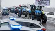 Polish farmers protest Ukraine imports as govt weighs new bans