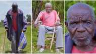 After living abroad for 47 years, man returns empty handed, his family fails to recognise him in viral video