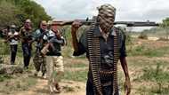 Insecurity: Bandits take over Buhari’s state, abduct 39 children, collect millions as levies from farmers
