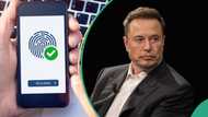 Elon Musk's X Moves to collect biometric data, education, employment history of Nigerians, pays Nigerian N36m