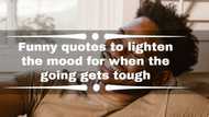 Funny quotes to lighten the mood for when the going gets tough