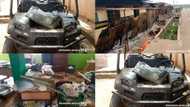 Bank, Custom base, VIO unit attacked, looted as protest turns violent in Oyo (photos)