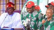 Strike: Tinubu’s govt approves 30-day implementation plan for MoU with organised unions