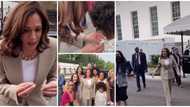 Cute video shows moment US Vice President Harris surprised little boy by gifting him her official flag pin