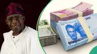 “It is not deliberate”: FG speaks on new solution to solve cash scarcity problem