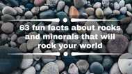 63 fun facts about rocks and minerals that will rock your world