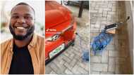 "Just do solar at home": Nigerian man charges his electric car, his viral video raises many questions